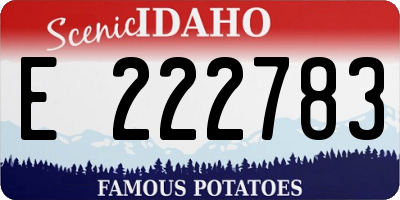 ID license plate E222783