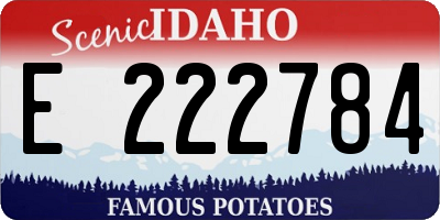 ID license plate E222784