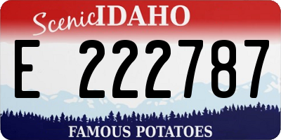 ID license plate E222787