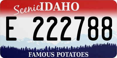 ID license plate E222788