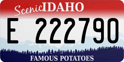ID license plate E222790