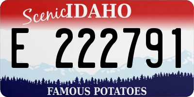 ID license plate E222791
