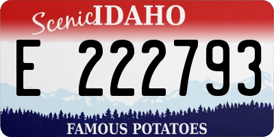ID license plate E222793