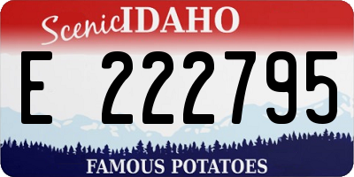 ID license plate E222795
