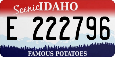ID license plate E222796