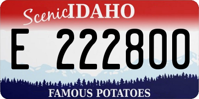 ID license plate E222800