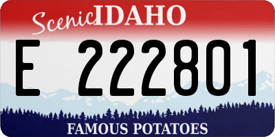 ID license plate E222801