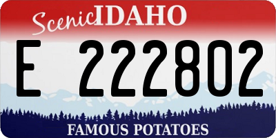 ID license plate E222802
