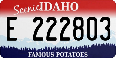 ID license plate E222803