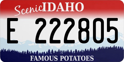 ID license plate E222805