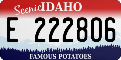 ID license plate E222806