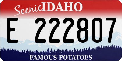 ID license plate E222807