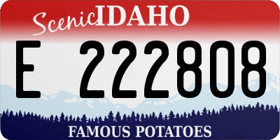 ID license plate E222808