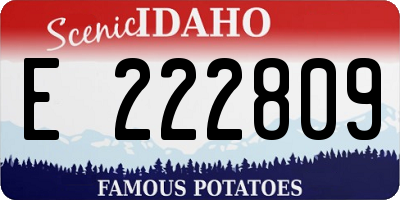 ID license plate E222809