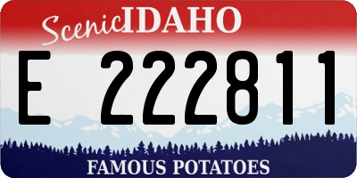 ID license plate E222811