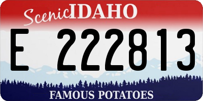 ID license plate E222813