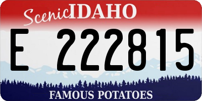 ID license plate E222815
