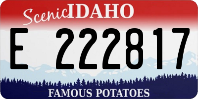 ID license plate E222817