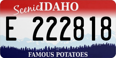 ID license plate E222818
