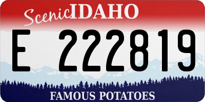 ID license plate E222819