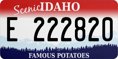 ID license plate E222820