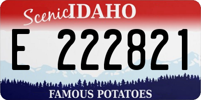 ID license plate E222821
