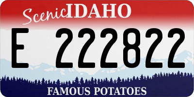 ID license plate E222822