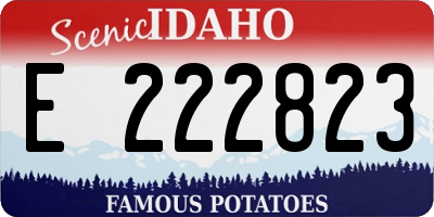 ID license plate E222823