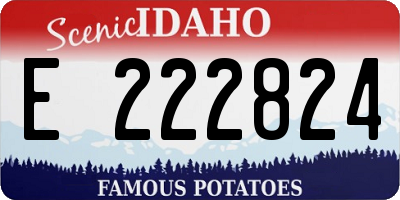 ID license plate E222824