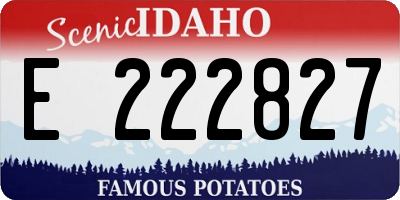 ID license plate E222827