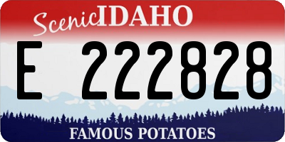 ID license plate E222828