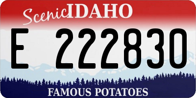 ID license plate E222830