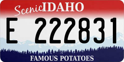 ID license plate E222831