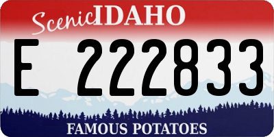 ID license plate E222833