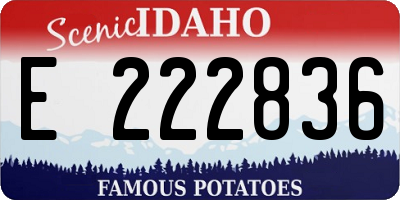 ID license plate E222836