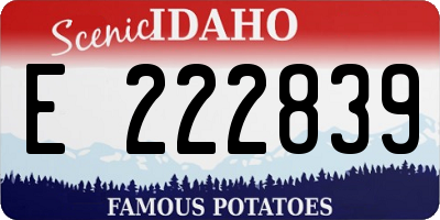 ID license plate E222839