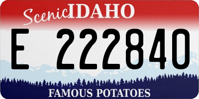 ID license plate E222840