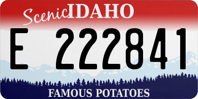 ID license plate E222841