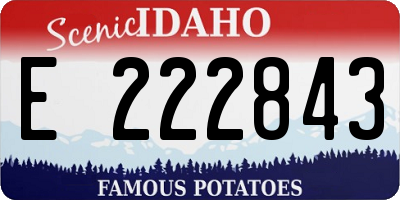 ID license plate E222843