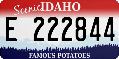 ID license plate E222844