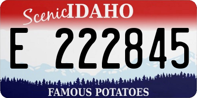 ID license plate E222845