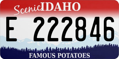 ID license plate E222846