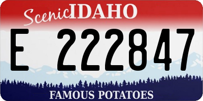 ID license plate E222847