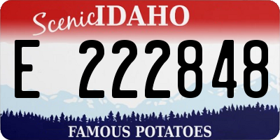 ID license plate E222848