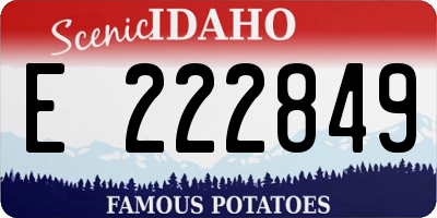 ID license plate E222849