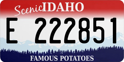 ID license plate E222851