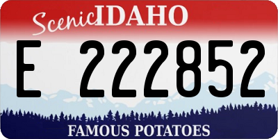 ID license plate E222852