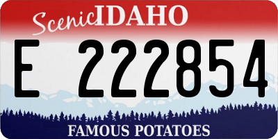 ID license plate E222854