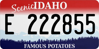 ID license plate E222855