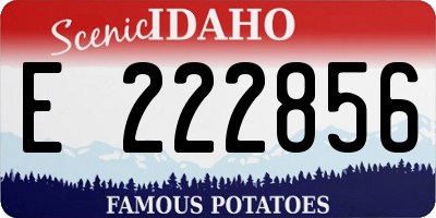 ID license plate E222856